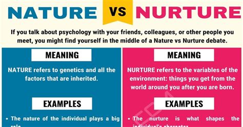 synonym for nurture|nature vs nurture synonym.